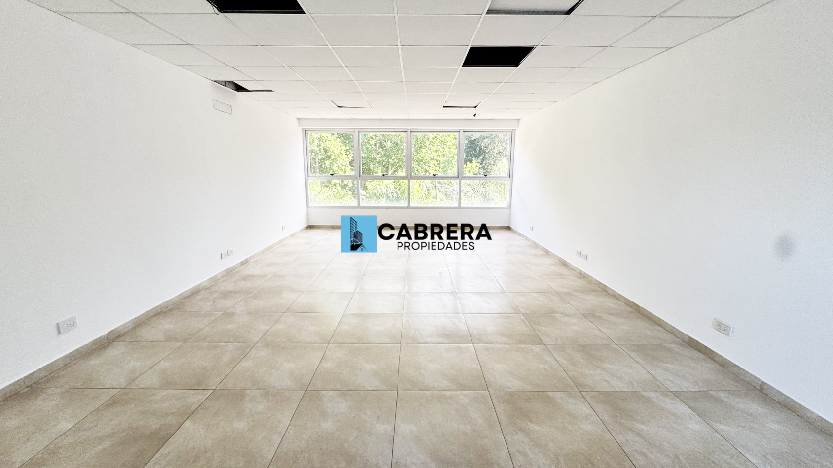 OFICINA EN ALQUILER, FRANCISCO ALVAREZ, MORENO