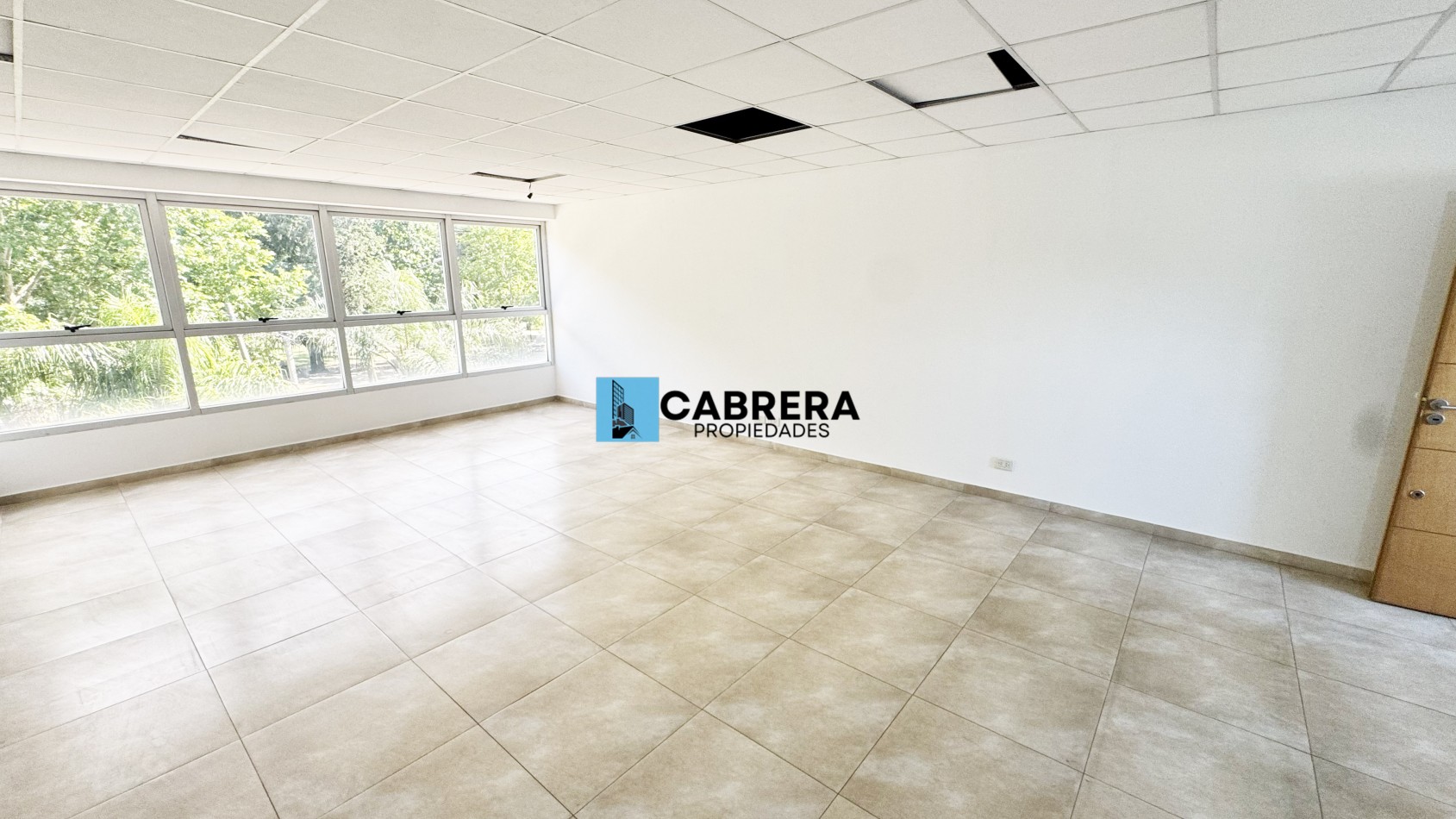 OFICINA EN ALQUILER, FRANCISCO ALVAREZ, MORENO