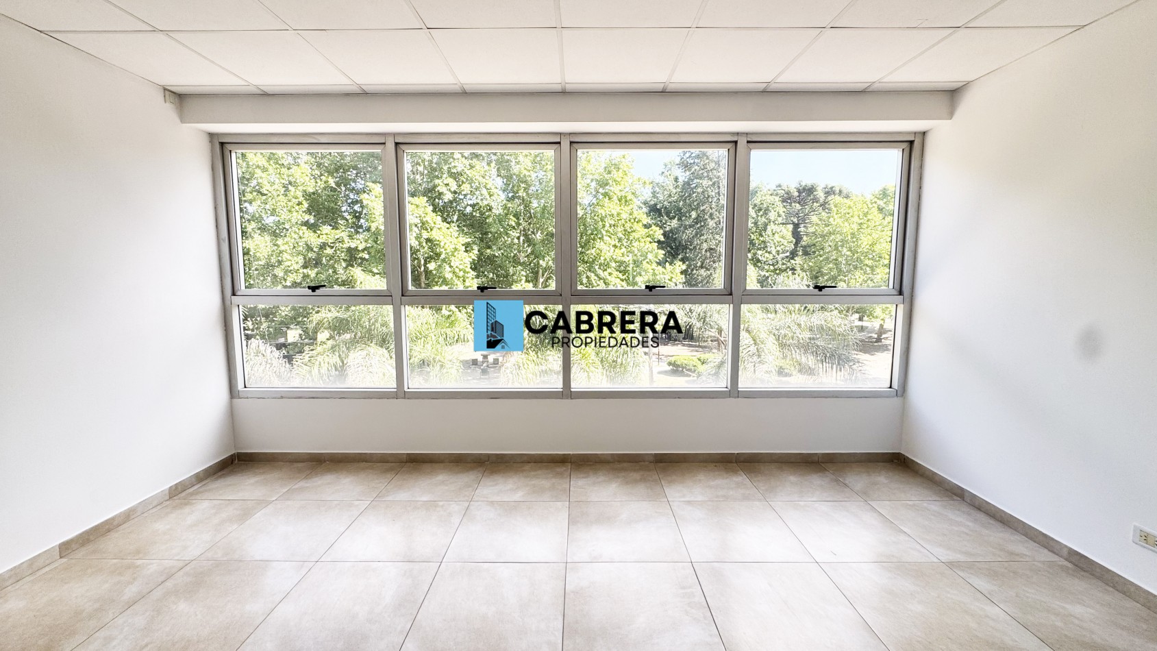 OFICINA EN ALQUILER, FRANCISCO ALVAREZ, MORENO