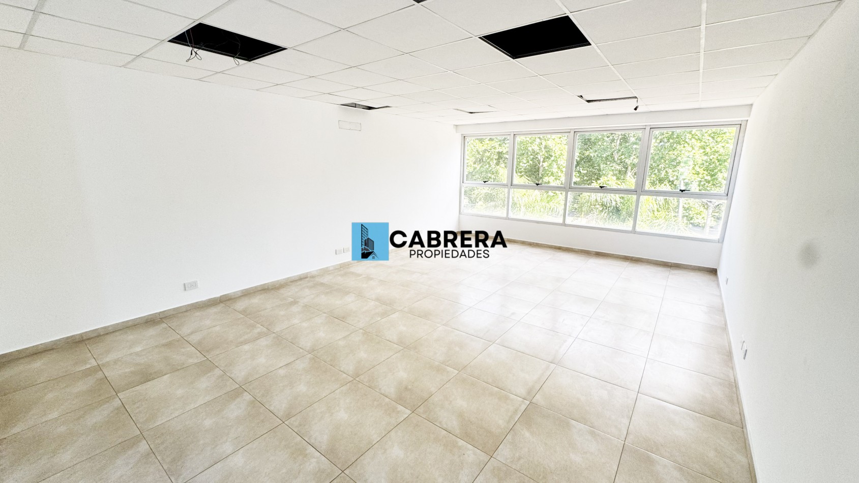 OFICINA EN ALQUILER, FRANCISCO ALVAREZ, MORENO