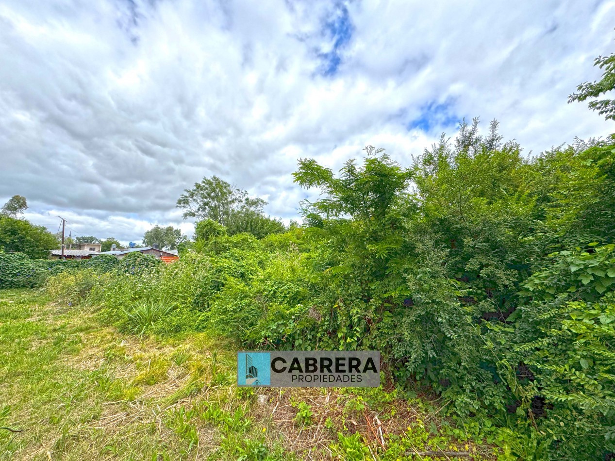 LOTE  EN VENTA EN FRANCISCO ALVAREZ - MORENO