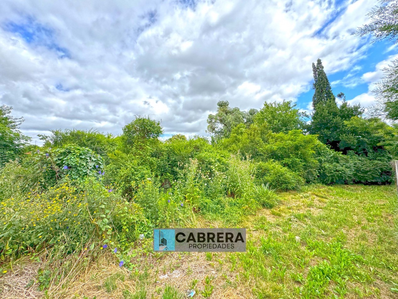 LOTE  EN VENTA EN FRANCISCO ALVAREZ - MORENO